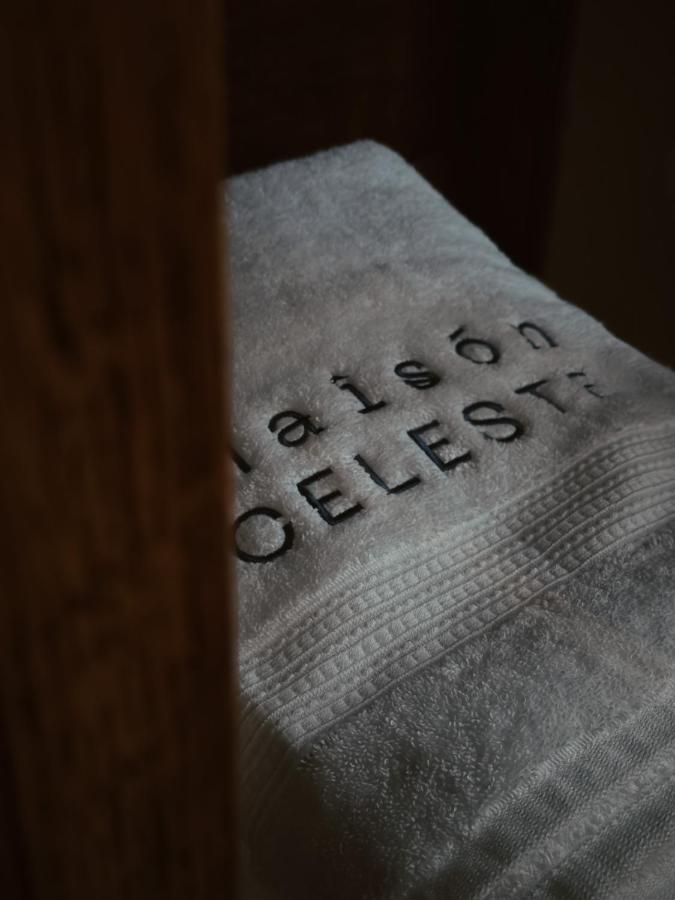 Maison Celeste مدينة مكسيكو المظهر الخارجي الصورة