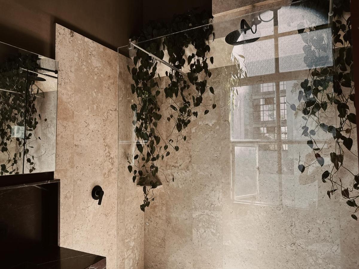 Maison Celeste مدينة مكسيكو المظهر الخارجي الصورة